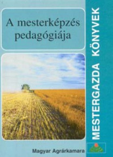 A mesterképzés pedagógiája