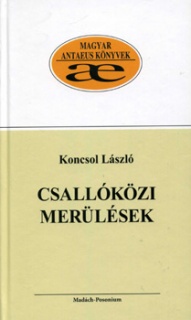 Csallóközi merülések - Tanulmányok, esszék a régió múltjáról II. kötet