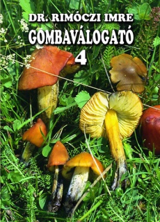 Gombaválogató 4.