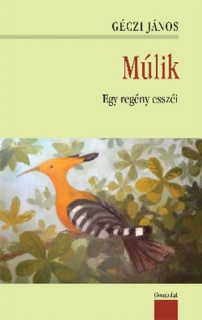 Múlik - Egy regény esszéi