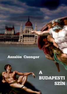 A budapesti szín