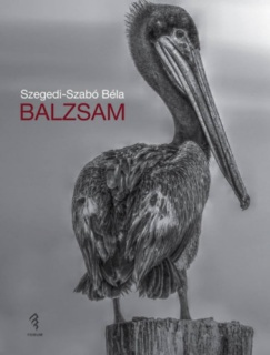 Balzsam