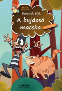 A bujdosó macska