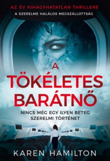 A tökéletes barátnő