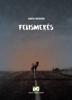 Felismerés