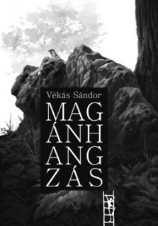 Magánhangzás