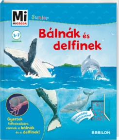 Bálnák és delfinek