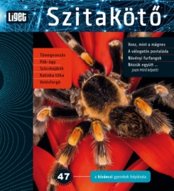 Szitakötő 2019/47