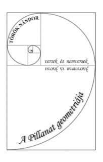 A Pillanat geometriája