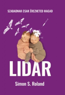 Lidar