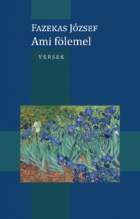 Ami fölemel