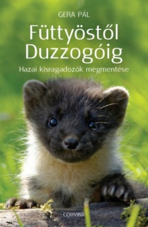 Füttyöstől Duzzogóig