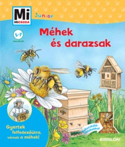 Méhek és darazsak