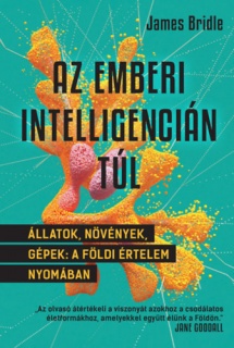 Az emberi intelligencián túl