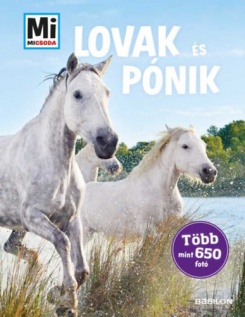 Lovak és pónik - Mi Micsoda