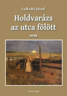 Holdvarázs az utca fölött