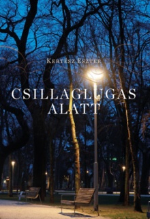 Csillaglugas alatt