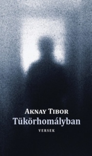Tükörhomályban