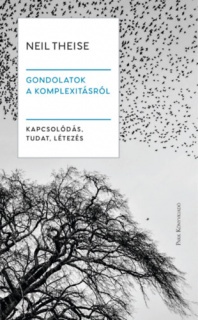 Gondolatok a komplexitásról