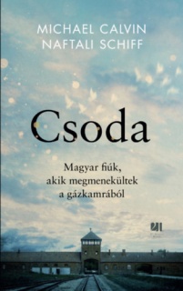 Csoda