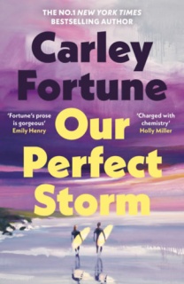 Our Perfect Storm - Hardcover