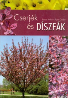 Cserjék és díszfák